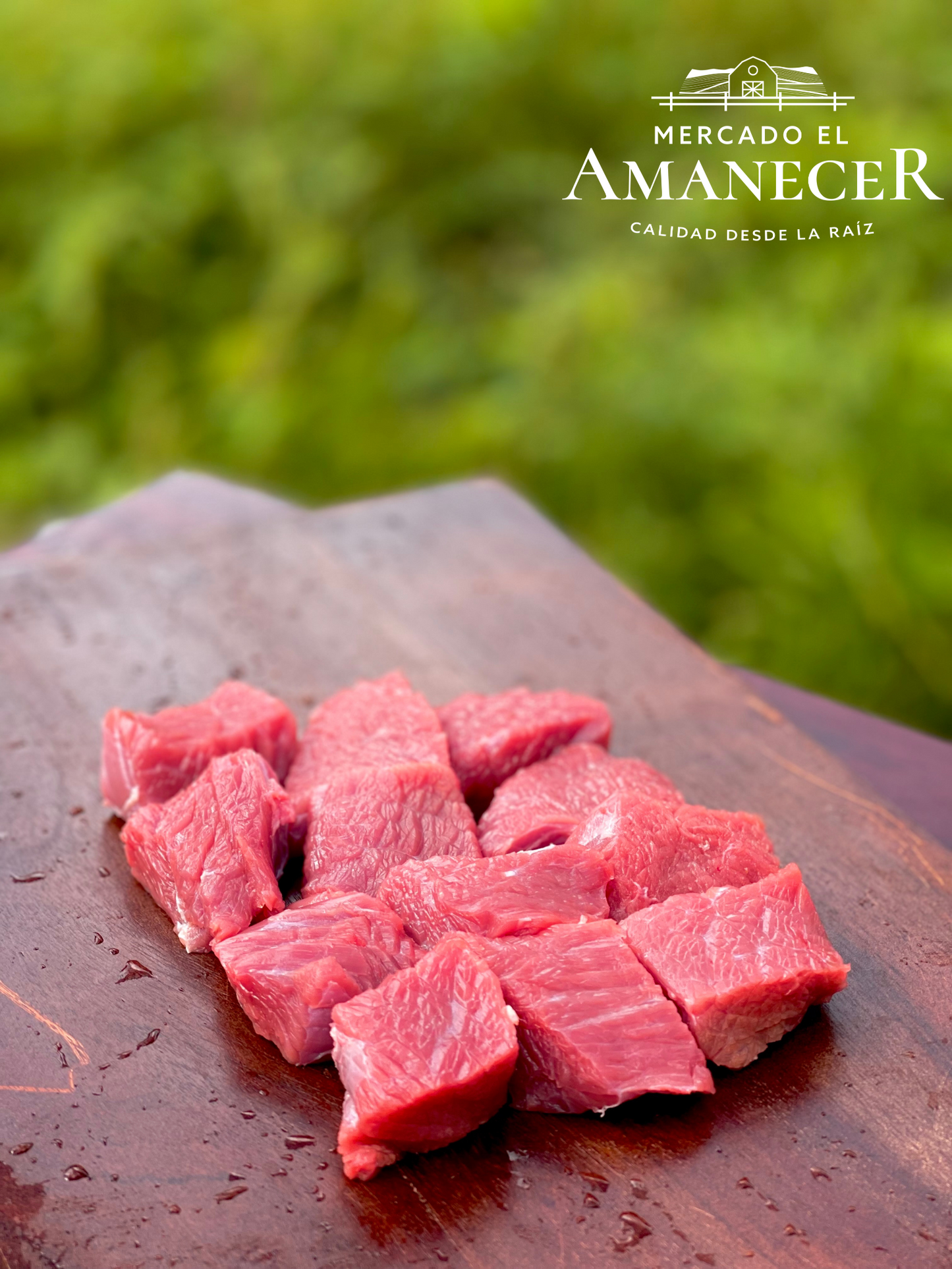 CARNE PARA GUISAR DE RES SIN HUESO P.R.