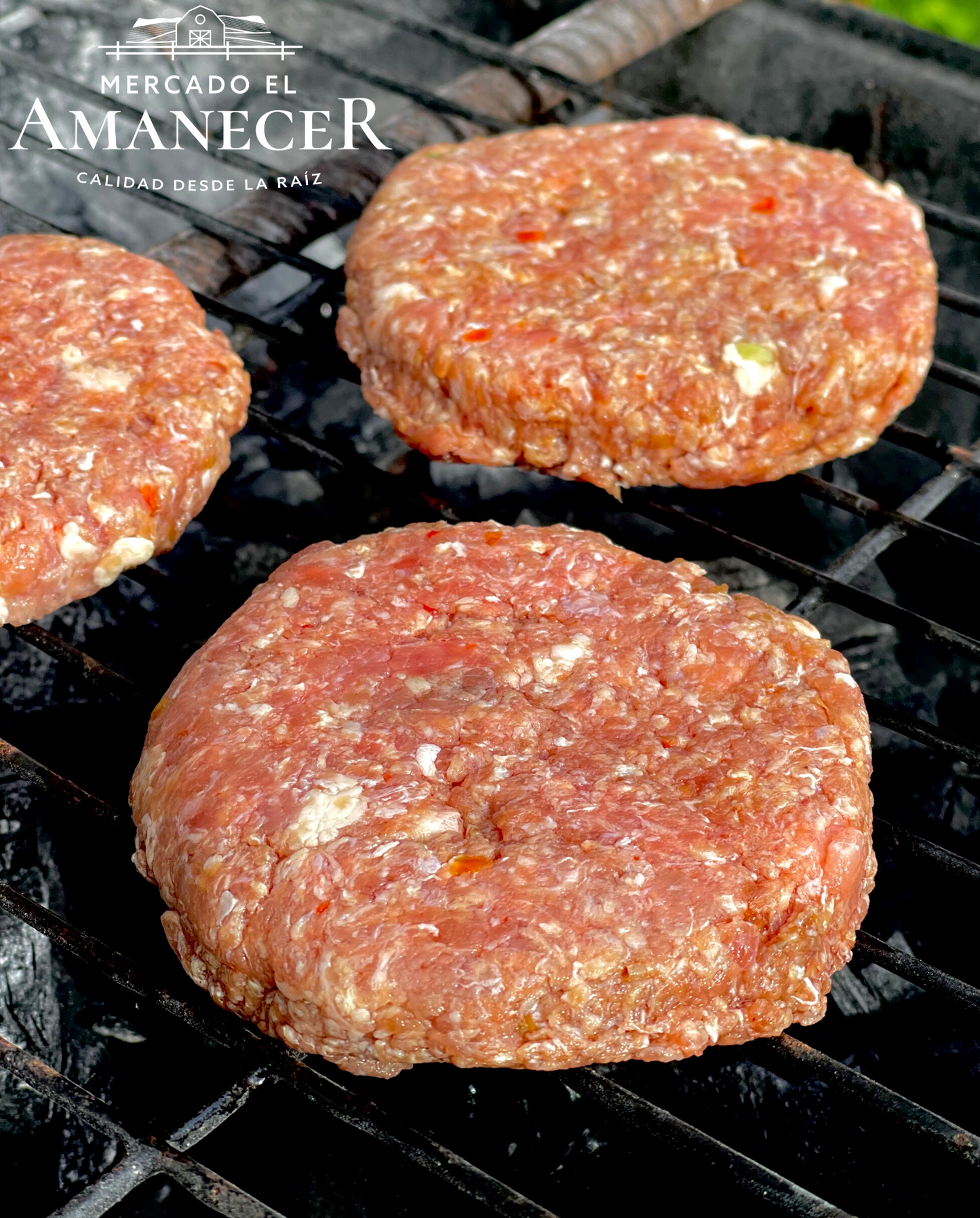 HOMEMADE BURGERS DE RES