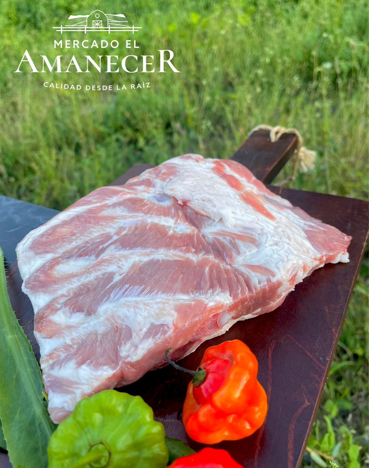 Spareribs de Cerdo